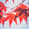 2019 - Autumn