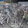 Cycling through the dutch jungle, Thursday May 20th