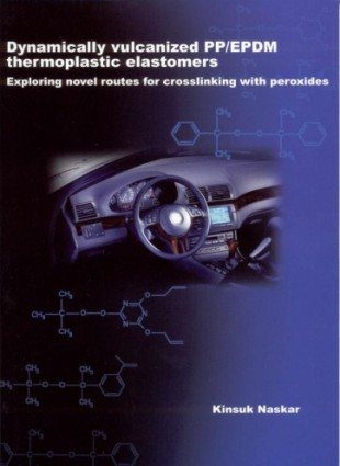 Thesis of Kinsuk Naskar