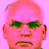 Picture of Prof.ir. Kees van Bochove