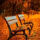 2017 autumn